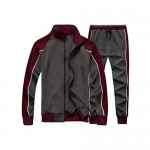 Tebreux Men's Tracksuits 2 Piece Outfit Jogging Suits Set Casual Long Sleeve Sports Sweatsuits
