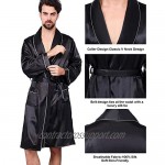 Haseil Men's Satin Robe Dragon Luxurious Silk Spa Long Sleeve House Kimono Bathrobe